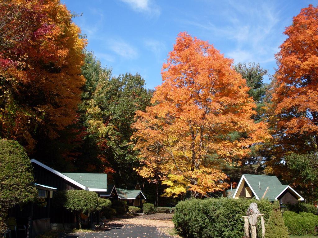 Amber Lantern Motel 레이크 헤오르헤 외부 사진